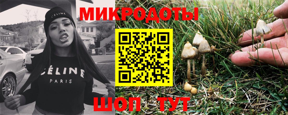 Псилоцибиновые грибы Cubensis Павлово