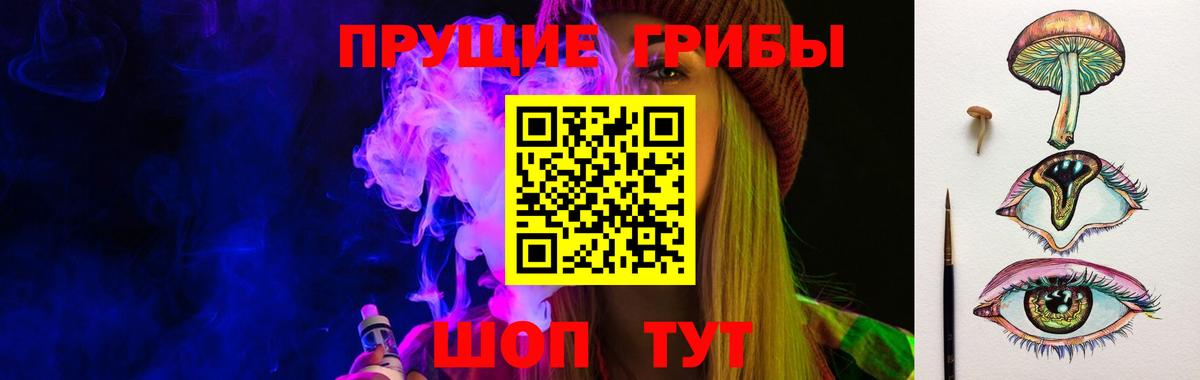 Псилоцибиновые грибы MAGIC MUSHROOMS  Вход с VPN  Павлово  Галлюциногенные грибы Psilocybe 